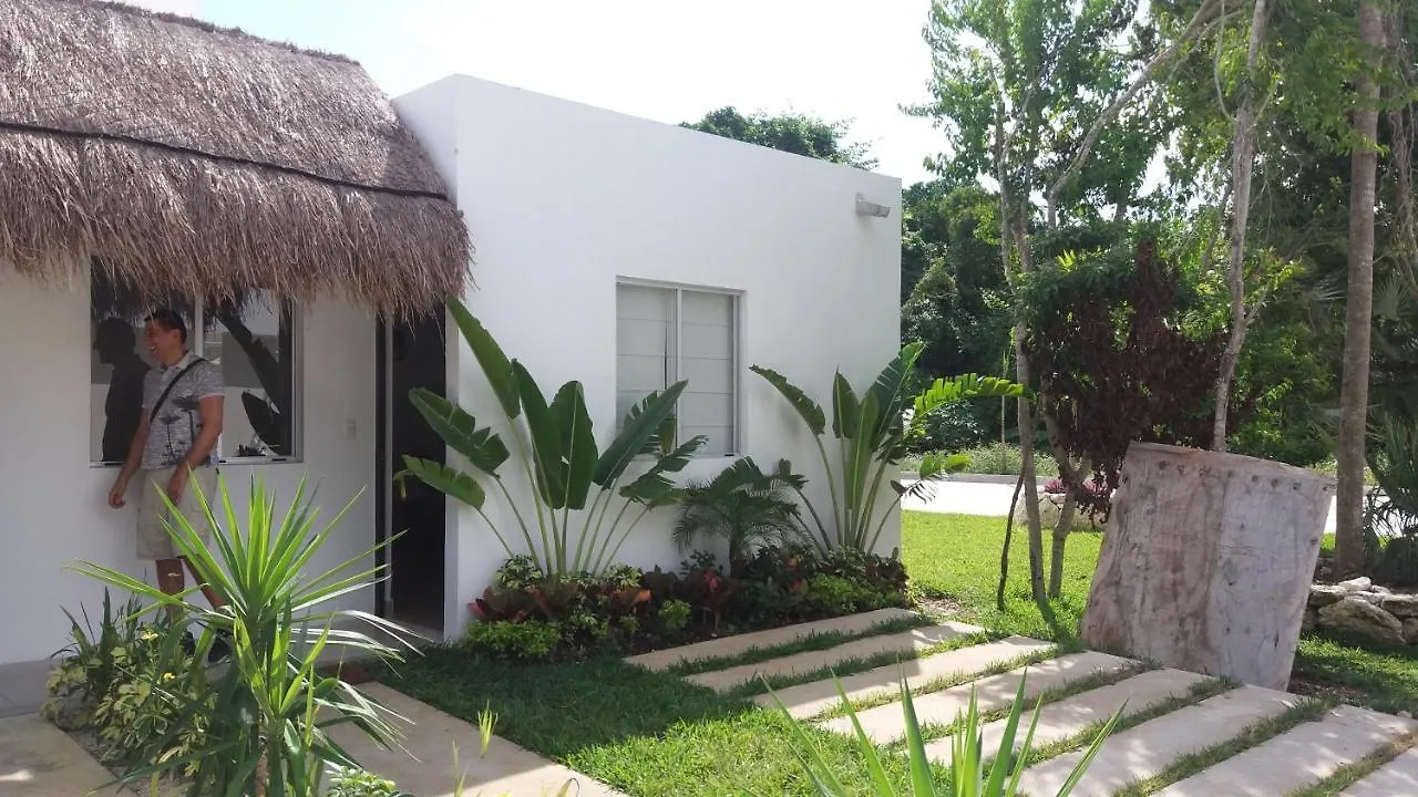 Corte De Los Angeles Puerto Morelos 0*,