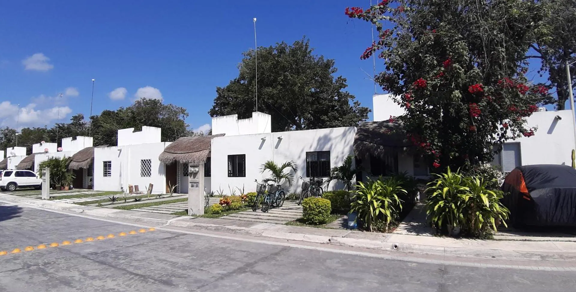 Corte De Los Angeles Puerto Morelos Mexico